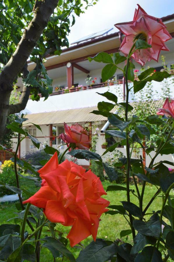 מלון קוסטינסטי Casa Gia מראה חיצוני תמונה